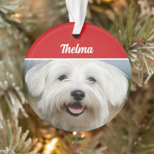 Coton de Tulear Name Photo Holiday Christmas Ornament