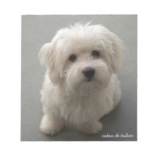 Coton de Tulear Notepad