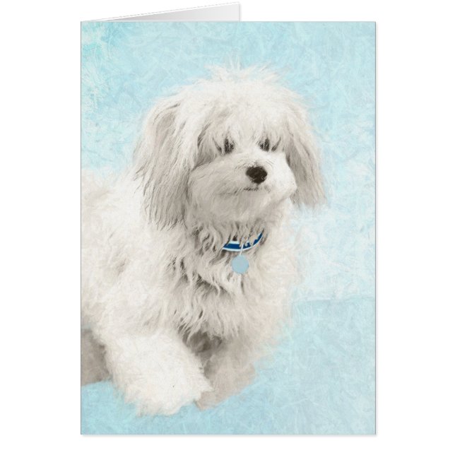 Coton de Tulear Painting - Cute Original Dog Art (Front)