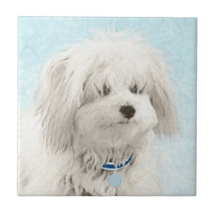 Coton de Tulear Painting - Cute Original Dog Art Ceramic Tile
