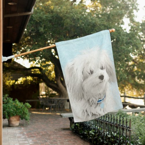 Coton de Tulear Painting _ Cute Original Dog Art House Flag