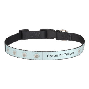 Coton de Tulear Painting - Cute Original Dog Art P Pet Collar