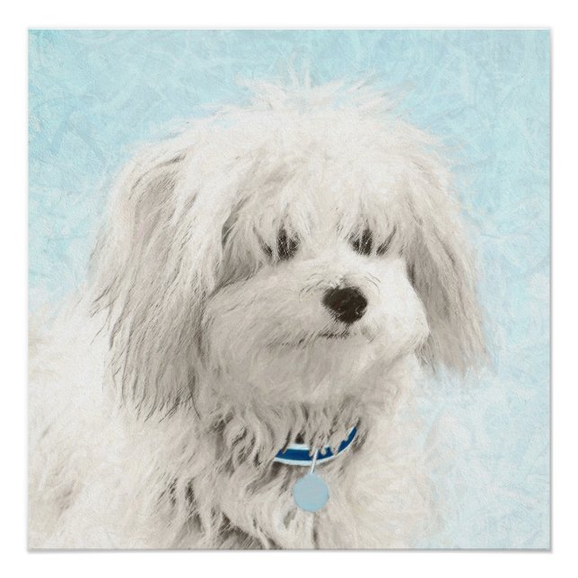 Coton de Tulear Painting - Cute Original Dog Art Poster (Front)