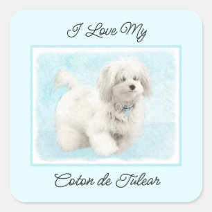 Coton de Tulear Painting - Cute Original Dog Art Square Sticker