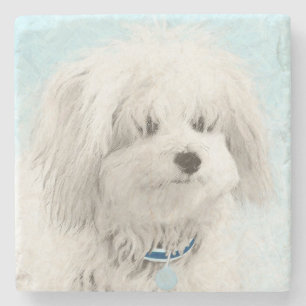 Coton de Tulear Painting - Cute Original Dog Art Stone Coaster