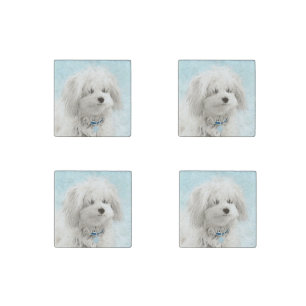 Coton de Tulear Painting - Cute Original Dog Art Stone Magnet