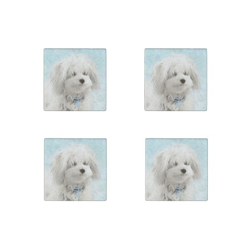 Coton de Tulear Painting _ Cute Original Dog Art Stone Magnet
