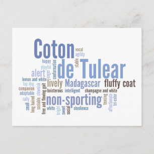 Coton de Tulear Postcard