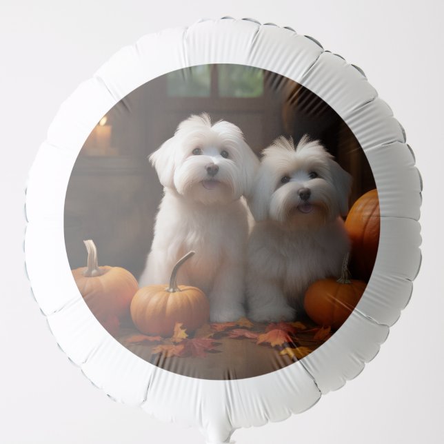 Coton De Tulear Puppy Autumn Delight Pumpkin  Balloon (Front)