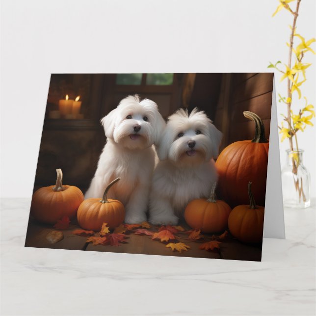 Coton De Tulear Puppy Autumn Delight Pumpkin  Card (Yellow Flower)