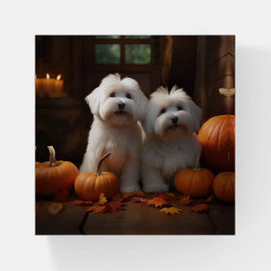 Coton De Tulear Puppy Autumn Delight Pumpkin Paperweight