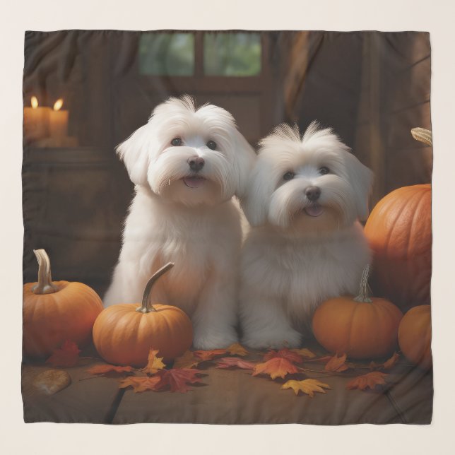 Coton De Tulear Puppy Autumn Delight Pumpkin  Scarf (Front)