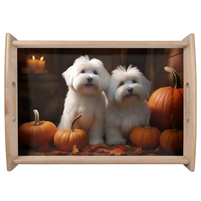 Coton De Tulear Puppy Autumn Delight Pumpkin  Serving Tray (Front)