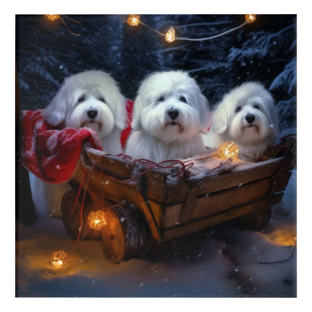 Coton De Tulear Snowy Sleigh Christmas Decor  (Front)