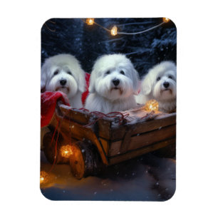 Coton De Tulear Snowy Sleigh Christmas Decor Magnet
