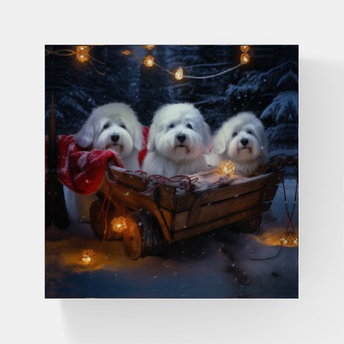 Coton De Tulear Snowy Sleigh Christmas Decor  Paperweight