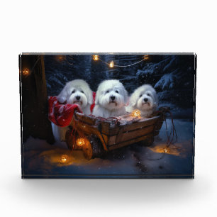 Coton De Tulear Snowy Sleigh Christmas Decor Photo Block