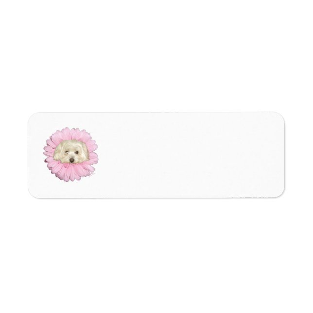 Coton de Tulear Springtime Flower Label (Front)