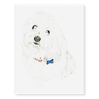 Coton de Tulear Temporary Tattoos