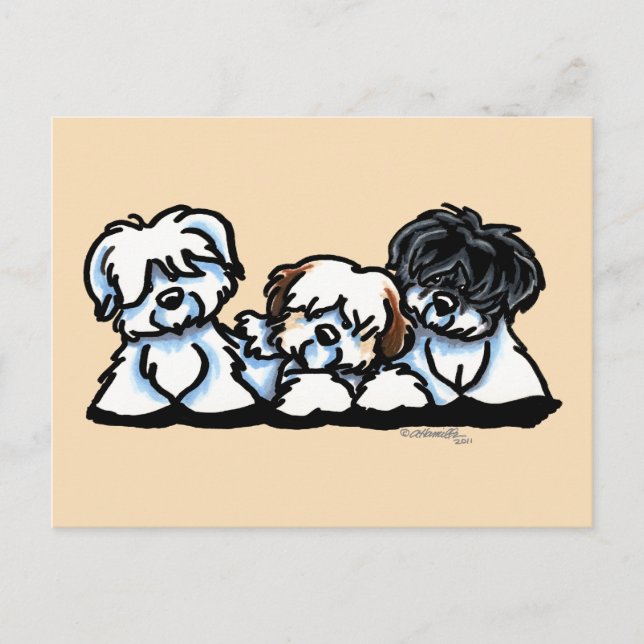 Coton De Tulear Trio Postcard (Front)