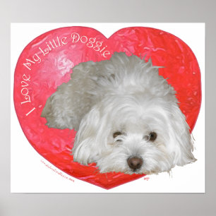 Coton de Tulear Valentine's Day Poster