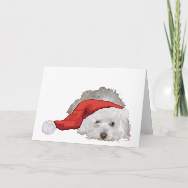 Coton de Tulear - Waiting Holiday Card (Front)