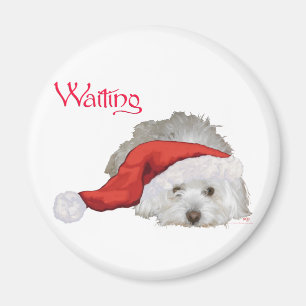 Coton de Tulear - Waiting Magnet