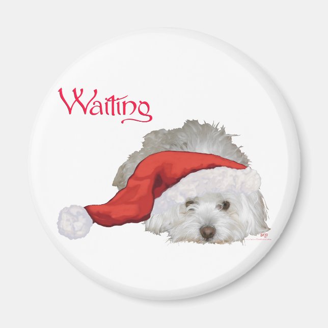 Coton de Tulear - Waiting Magnet (Front)