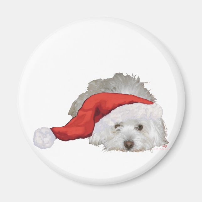 Coton de Tulear - Waiting Magnet (Front)