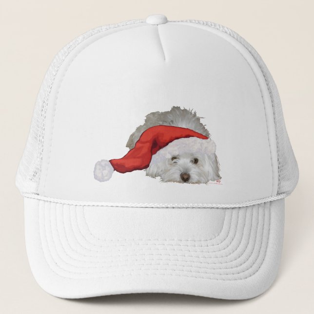 Coton de Tulear - Waiting Trucker Hat (Front)