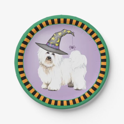 Coton de Tulear Witch Paper Plate