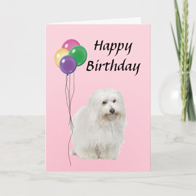 Coton De Tulear with Balloons Happy Birthday Card (Front)