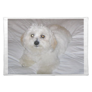 coton laying.png placemat