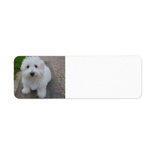 coton on bench label