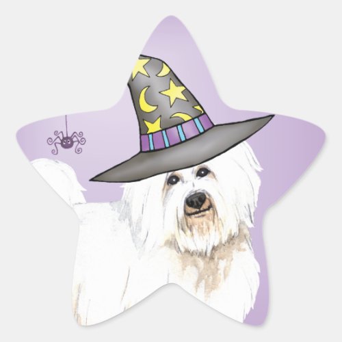 Coton Witch Star Sticker