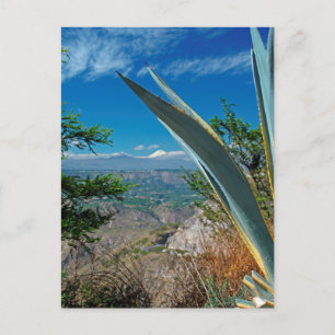 Cotopaxi volcano, Ecuador Postcard