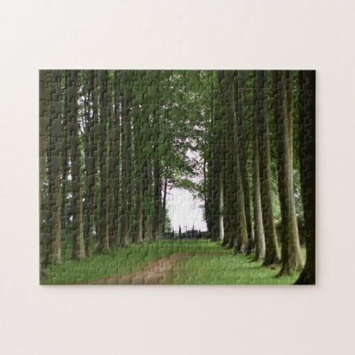 Cotswolds Forest Lush Green Trees Landscape UK Jigsaw Puzzle