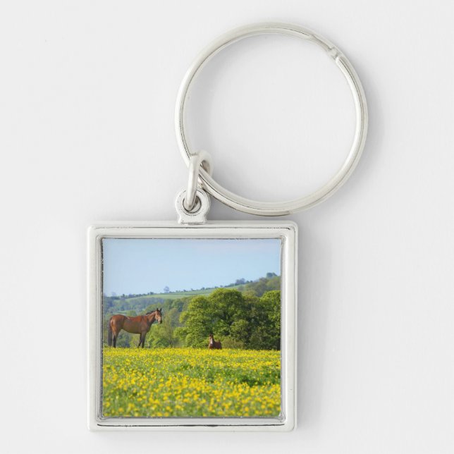 Cotswolds, UK Keychain (Front)