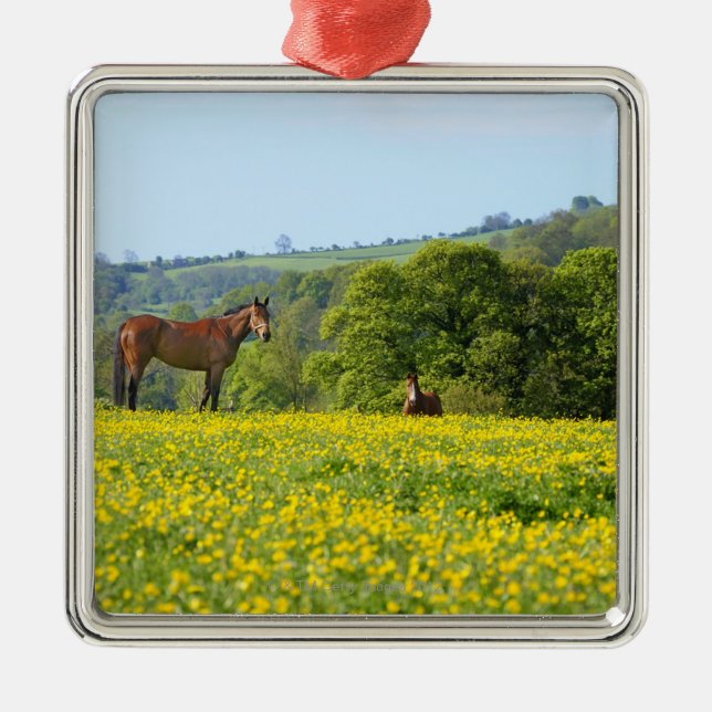 Cotswolds, UK Metal Ornament (Front)