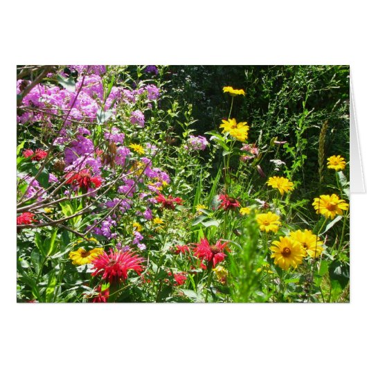 Cottage Garden Background Cards (Front Horizontal)