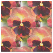 Cottage Garden Firefly Pansy - 4 inch