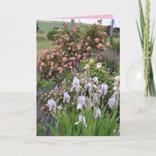 Cottage Garden Irises Rose Beauty floral Card