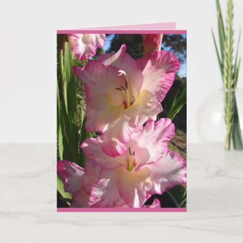 Cottage Garden Pink Gladioli flowers floral Card