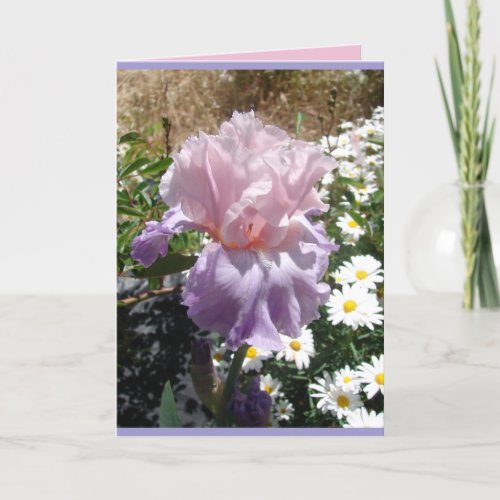 Cottage Garden Purple Iris Irises floral Card