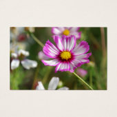 Cottage garden, Rosalinde (Front)