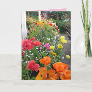 Cottage Garden Smile Pink Rannunculus floral Card