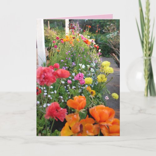 Cottage Garden Smile Pink Rannunculus floral Card