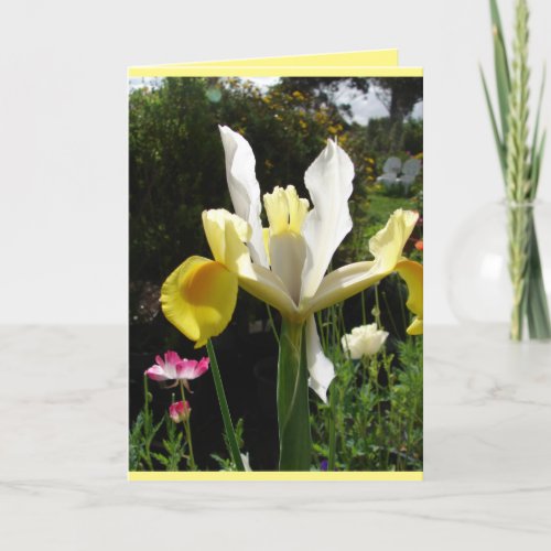 Cottage Garden Yellow Iris Irises floral Card