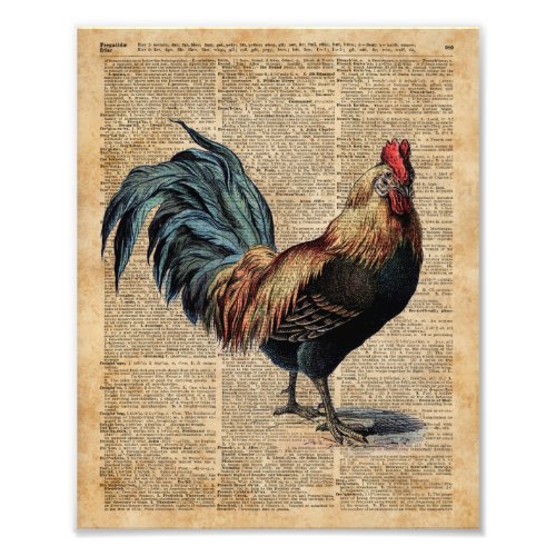 Cottage Rooster Vintage Dictionary Book Page Photo Print