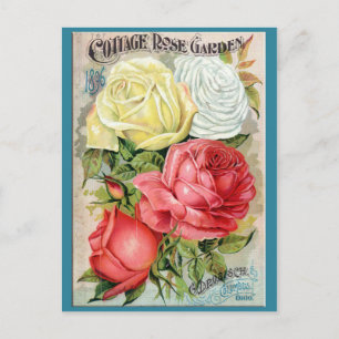 Cottage Rose Garden Postcard